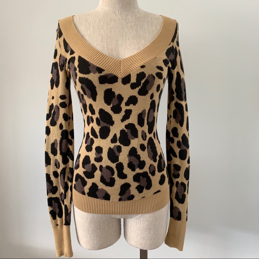 Express 🐆leopard print sweater top